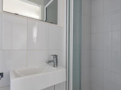 Picture 29